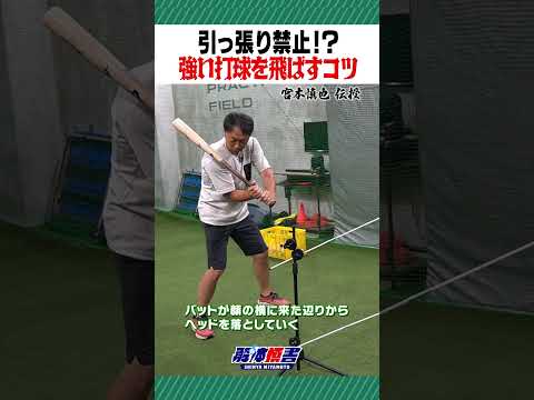 引っ張り禁止！？強い打球を飛ばすコツ #shorts #宮本慎也