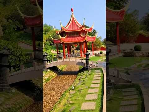 Have You Seen This Japanese Garden #shorts #youtubeshorts #trending