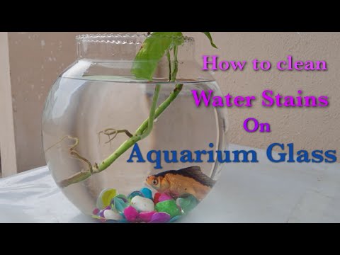 #Aquariumcleaning||How to clean hardest water stains from Aquarium glass||No soap No chemical using