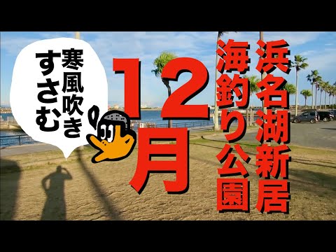 [初心者釣り日記] 浜名湖新居海釣り公園、寒風吹きすさむ12月の様子を無理やりリポートする初心者