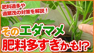 Measures to be taken when green soybeans learned from Japanese farmers has excessive fertilizer !