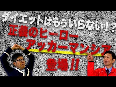 【でぶ菌】【やせ菌】もうダイエットはいらない！？正義のヒーロー登場【論文読んでみた】