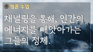 #94 채널링을 통해, 인간의 에너지를 빼앗아가는 그들의 정체 [영혼 수업]