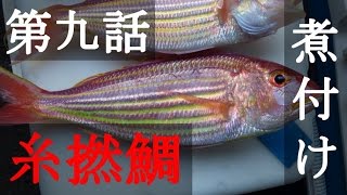 イトヨリダイの煮付け作ってみた【料理動画】｜海鮮アクアリウム