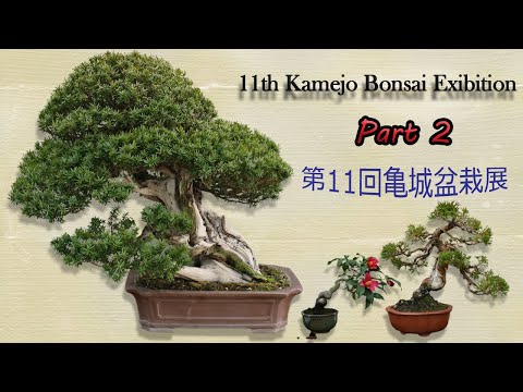 11th Kamejo Bonsai Exhibition - 第11回 亀城盆栽展 2022 January (PART 2)