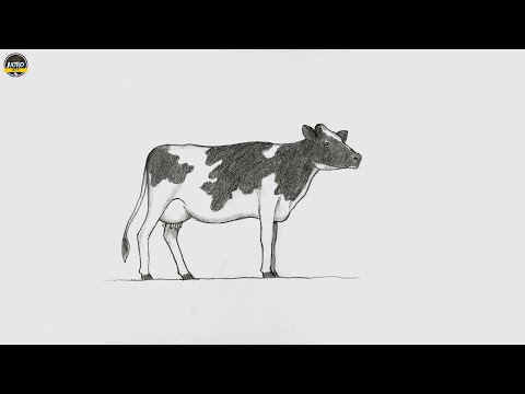 How to Draw a Cow Easy / Cow Drawing Step by Step