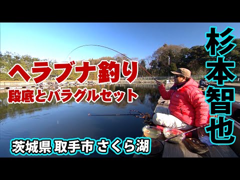 トーナメンター杉本智也が冬の管理釣り場を攻略 1/2 『ヘラブナギャラリー 杉本智也×冬のさくら湖 段底とバラグルセットで愉しむ1日』イントロver.【釣りビジョン】その①