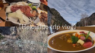 【北海道旅行vlog】1泊2日層雲峡温泉で過ごす休日| 美瑛ランチ・美唄ランチ| 朝暘リゾートホテル