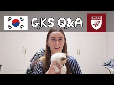 GKS Q&A | Korea University Graduate School of Media and Communication