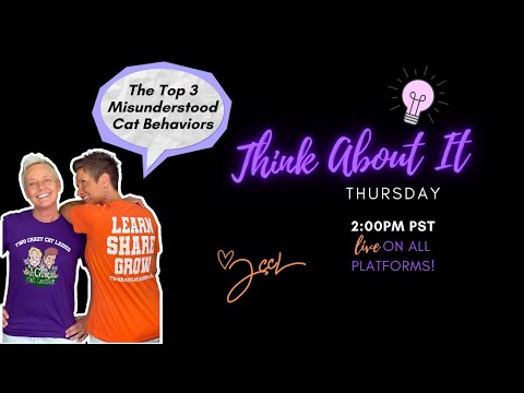 Top 3 Misunderstood Cat Behaviors | Think About It Thursday | Two Crazy Cat Ladies