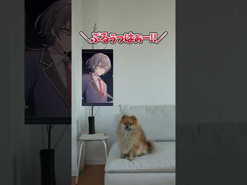 新人VTuber＋犬＝虚無