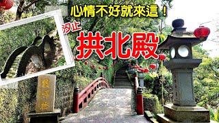 20240830 即使楓葉還未紅，滿山翠綠也是美｜汐止拱北殿