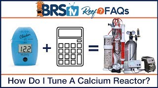 Calcium reactor tuning with a reef tank calculator | ReefFAQs