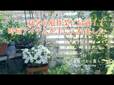 ガーデニング Vlog｜夏の庭作業に、強い味方を手に入れました｜電動噴霧器　ニームオイルの散布 〜小さな庭のある暮らし 134〜Gardening ｜ Life in a tiny garden