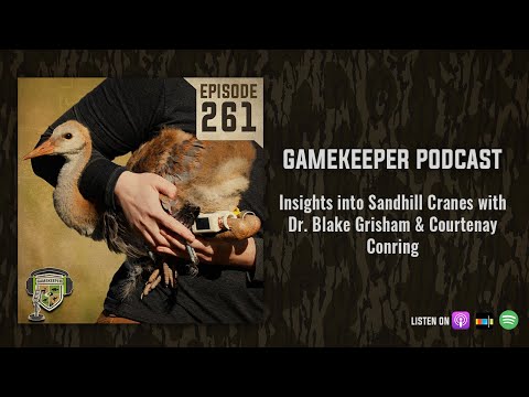 EP:261 | Insights into Sandhill Cranes with Dr. Blake Grisham & Courtenay Conring