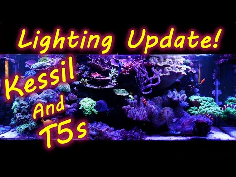 My full Reef Tank Lighting Setup and Schedule, Kessil a360x, Kessil A160, T5s