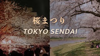 Gorgeous Sakura Japan: Tokyo & Sendai, shot on Nikon Zfc