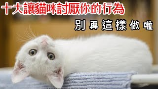 【養貓必看，新手必看】【貓奴必看 】十大讓貓咪討厭你的行為，你中了幾項？10種讓貓咪討厭你的行為！別再這樣做啦！常見錯誤！你可能正讓你的貓翻白眼！別再做這十件讓貓咪對你討厭的事情！