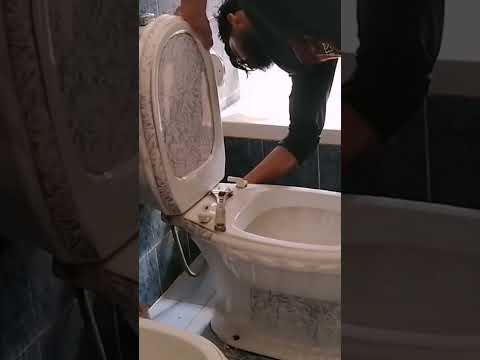 How To Replace English Toilet | BEFORE & AFTER: How to Install a Toilet Yourself - Thrift Diving