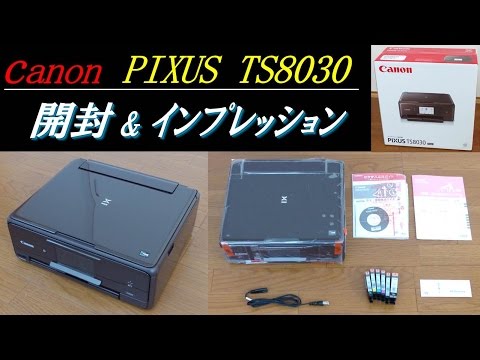 opening and impression for Printer "Canon PIXUS TS8030"