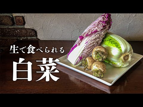 生で食べられる白菜とカブのイタリアンサラダ　[冬野菜][バルサミコドレッシング][ほったらかしグルメ]