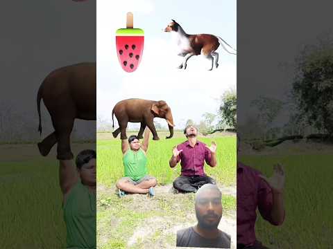 Eating biscuit honey icecream #shorts #youtubeshorts #viralvideo #vfx #comedy