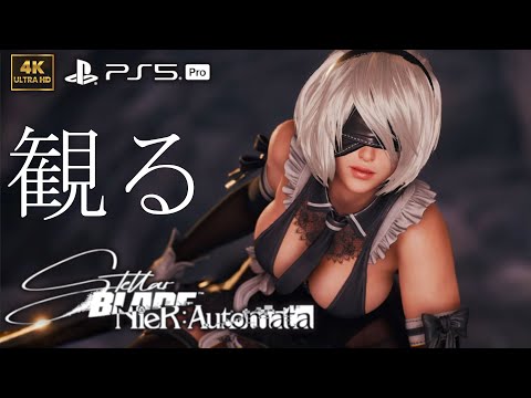 【観るゲーム】【PS5Pro】Stellar Blade × NieR:Automata DLC /日本語音声・日本語字幕