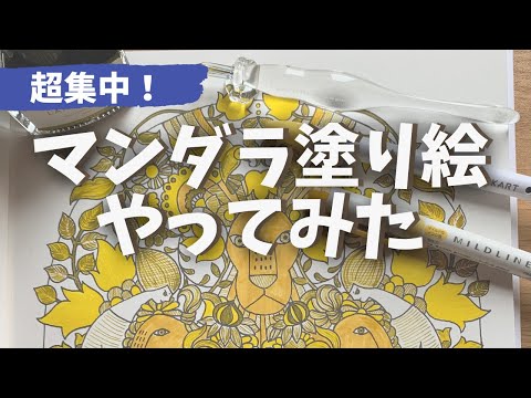 超集中！マンダラ塗り絵沼にハマってみた〜！「大人のぬりえ」の始め方 mandala coloring book