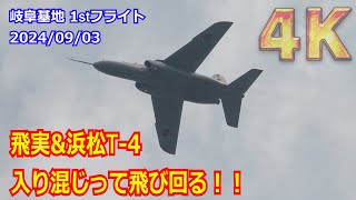 【4K】飛行開発実験団&第1航空団（浜松基地）のT-4が入り混じって飛び回る！！ 1stフライト 2024/09/03【岐阜基地】