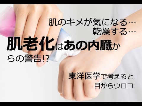 皮膚老化はあの内臓からの警告！？〜東洋医学で考えると目からウロコ〜