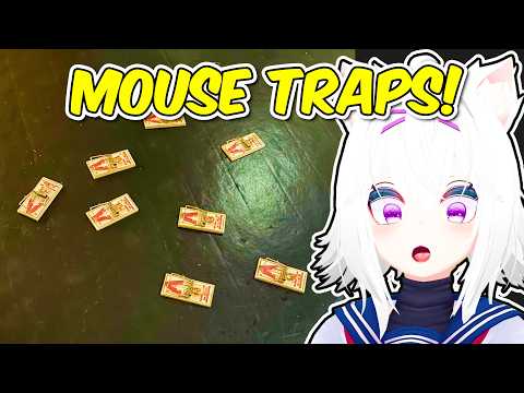 Filian sets 10 mouse traps in her own room