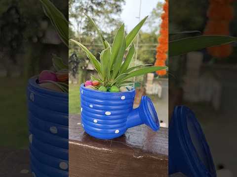 Zero budget pot #wasteoutofbest #diy #spiderplant #pots #shorts #ytshorts #viralshort #craft