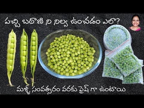 How to store pachi batani in telugu || పచ్చి బఠాణి ని ఎలా నిల్వ ఉంచాలి || Green peas storage telugu