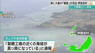 製糖工場から大量の『糖蜜』が海に流出　事業者「特産のアーサは全て廃棄で種付けも不安」