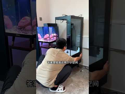 鹦鹉鱼变红竟有“科技”，开个新缸试一试！Parrot fish turn red has "technology", open a new tank to try!