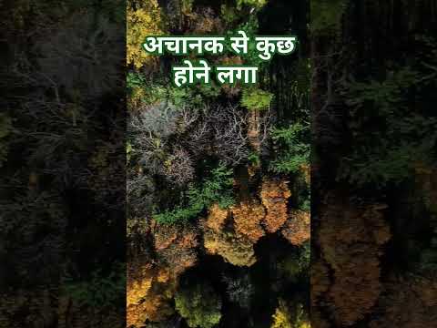 Kush to होने लगा #song #viralvideo #nature #naturelovers #nature_hike_films