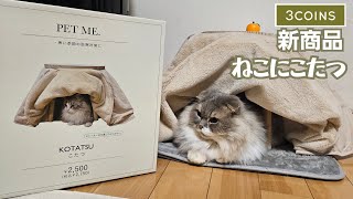 猫はこたつで丸くなる？ 3COINSの新商品KOTATSU(こたつ)試してみました！