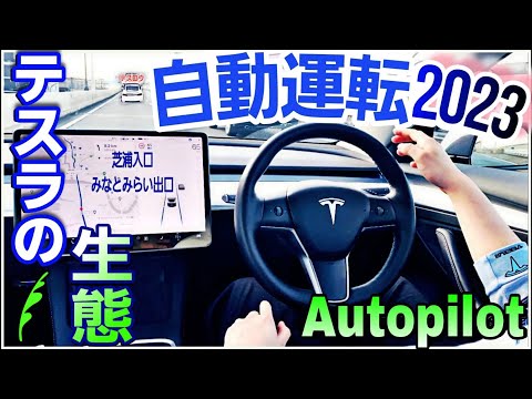 【テスラの自動運転】2023年オートパイロット最新版を首都高で試す！|Teslaの生態