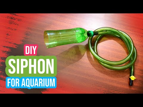 DIY Siphon for Aquarium: Ultimate Fish Tank Gravel & Sand Cleaner!