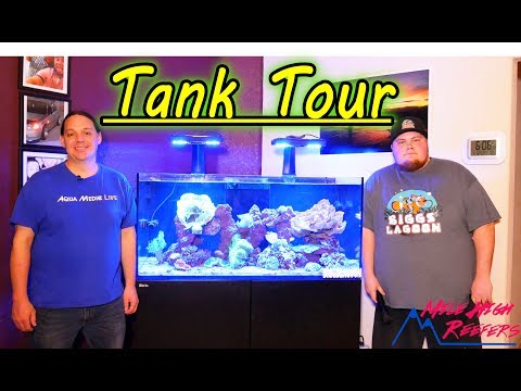 Tank Tour Biggs Lagoon