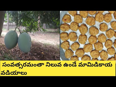 Mango vadiyalu in telugu/Telugudanam by Divyavarma/మామిడి కాయ వడియాలు/Mango