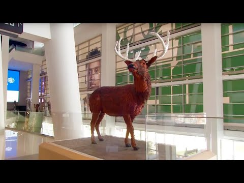 The Arts Page | Program | #801 -- Milwaukee Bucks Art Collection