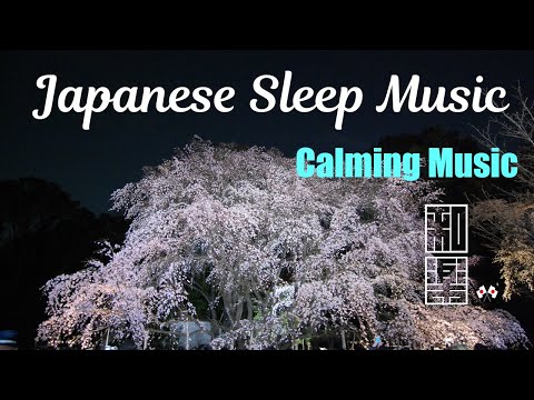 Japanese Calming Music🌸  Traditional instruments. Before going to sleep.