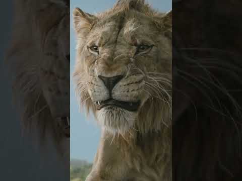 Mufasa: The Lion King | Future #shorts