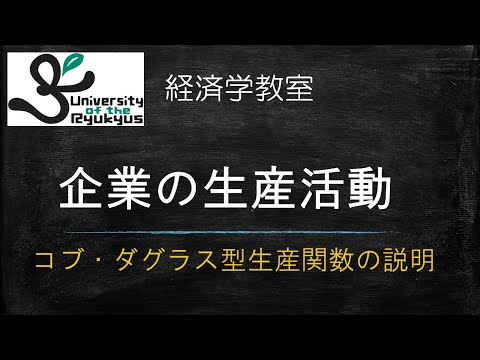 コブダグラス型生産関数 (No.46) 企業の生産活動を理論的に記述することを考えてみよう