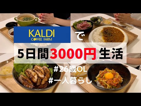 【カルディ】購入品紹介🛒3,000円で世界の料理を楽しむ1人暮らしご飯🇸🇬🇰🇷🇮🇳