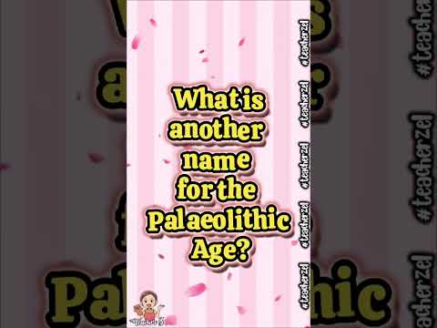 What is another name for the palaeolithic age? #teacherzel