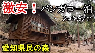 【激安バンガロー泊】真冬のコタツでソロキャンプ 愛知県民の森