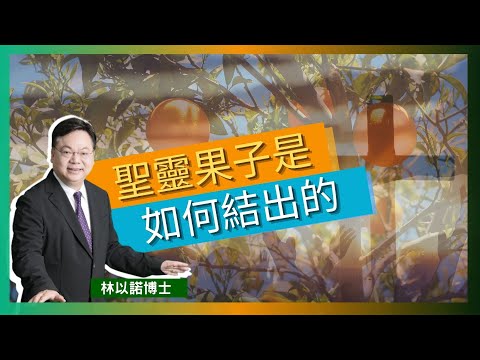 聖靈果子是如何結出的｜「愛」是屬靈生命的關鍵字｜一切能力都是從神而來 ｜ 你有什麼好驕傲的? ｜ 屬靈操練必須在群體裡活出來 ｜林以諾博士 （中文字幕）