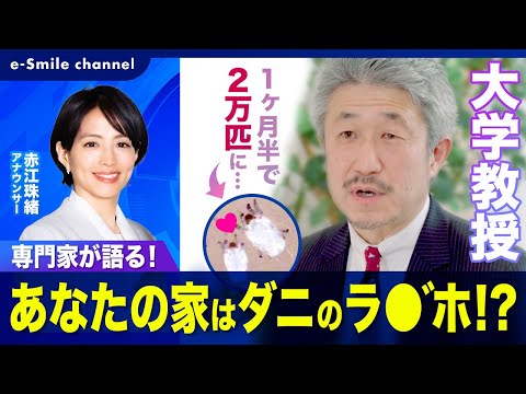 【悲報】あなたの家はダニのラ〇"ホだった！